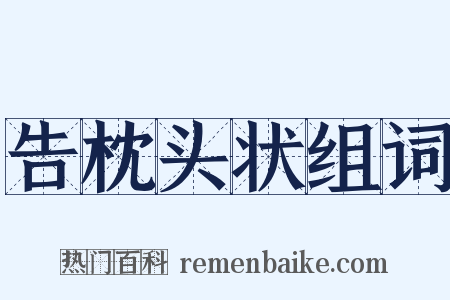 告枕头状组词是什么意思的图片